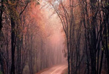 拜仁官方为诺伊尔庆祝三十九岁生日:生日快乐,Manu🎈.