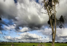 博天堂官网:湖人终结掘金9连胜 詹姆斯25+9东契奇32+10+7.