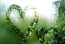 博天堂官网:德甲-诺伊尔送点+扑点科曼伤退 拜仁3-2奥格斯堡.